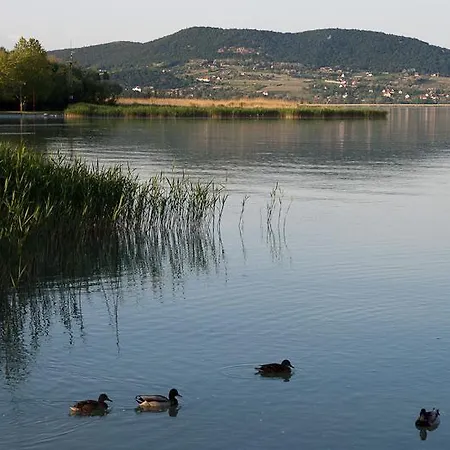 Kincsem Apartman * Badacsonytomaj
